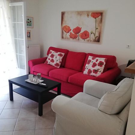 Sunny Stay Furnished Apartment In Kanoni Eksteriør billede